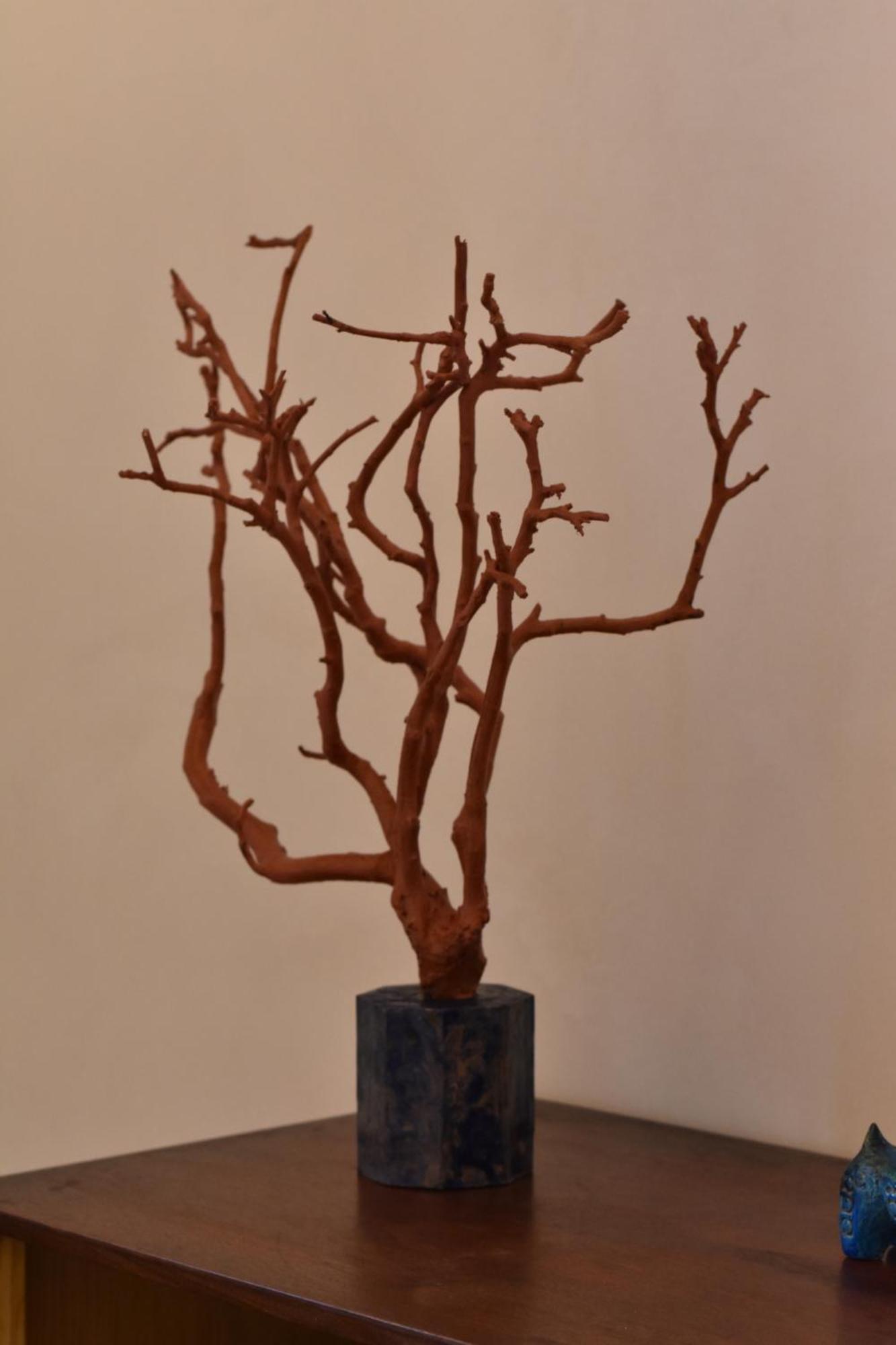 아레초 Il Giardino Di Dinda 아파트 외부 사진